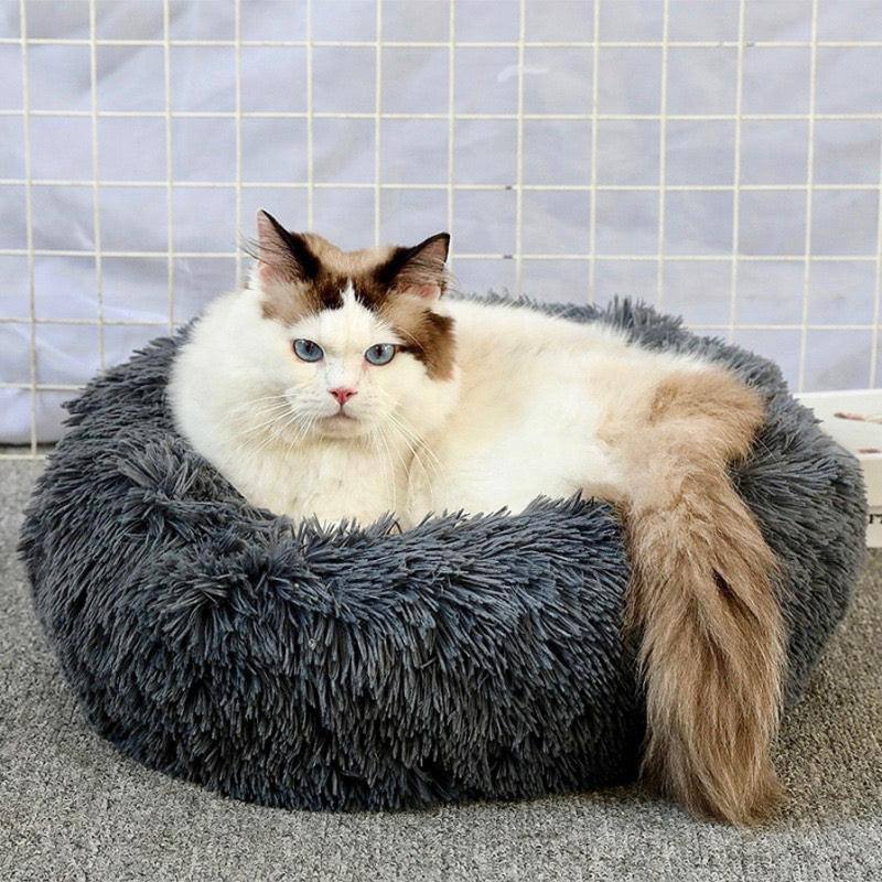 Calming Bed