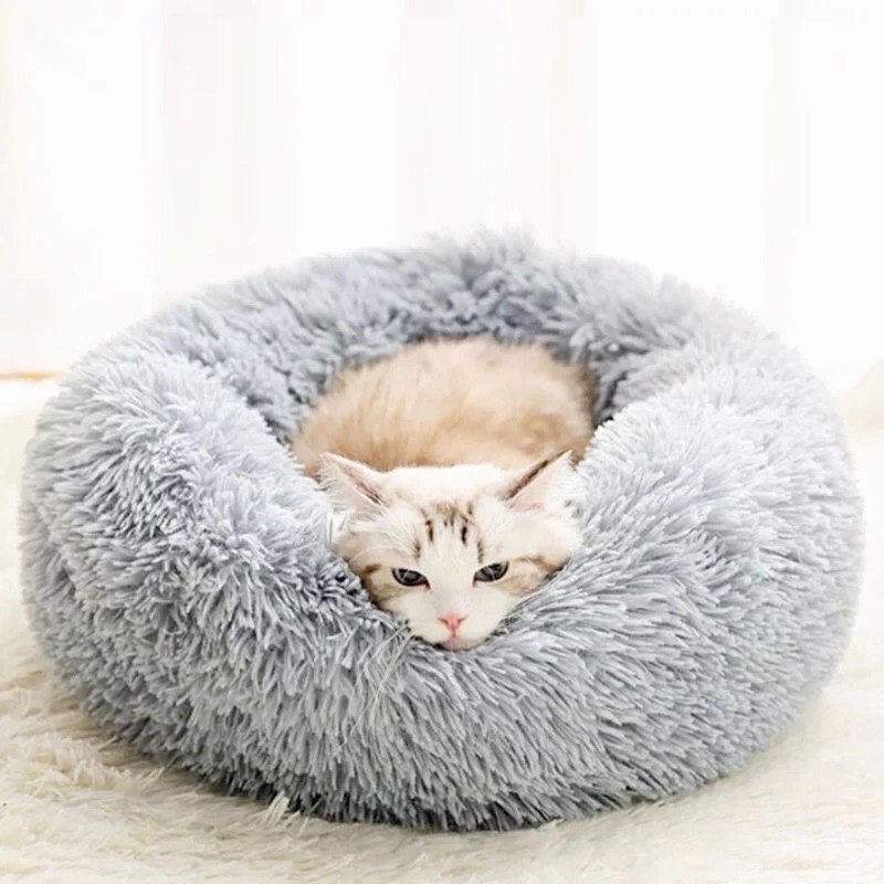 Calming Bed